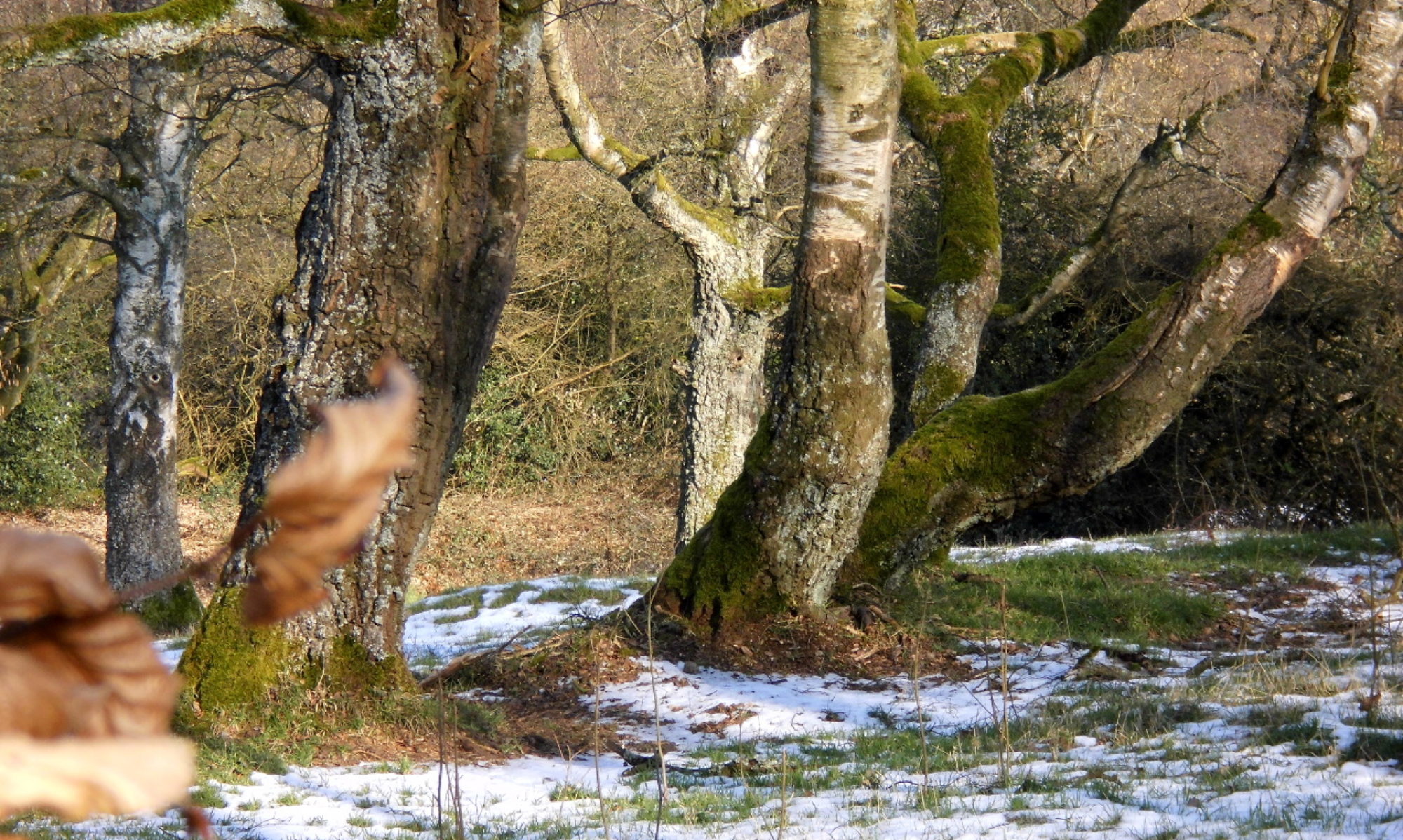 Naturerlebnis Marienhof